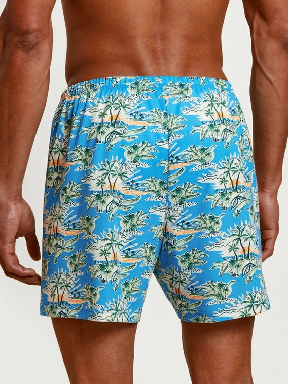 Calida Prints Jersey-Boxershorts Ohne Eingriff 3 Calida Prints Jersey-Boxershorts Ohne Eingriff – Bild 3